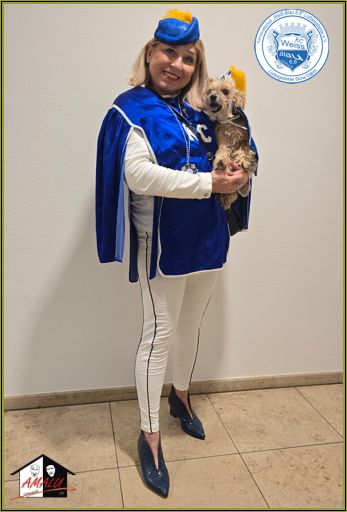 Verteidigung des Rathauses